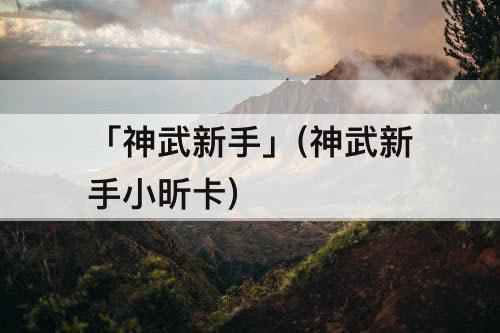 「神武新手」(神武新手小昕卡)