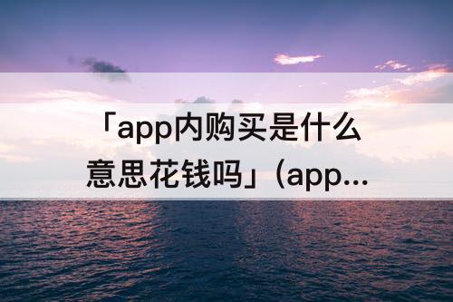 「app内购买是什么意思花钱吗」(app内购买是什么意思花钱吗苹果6)