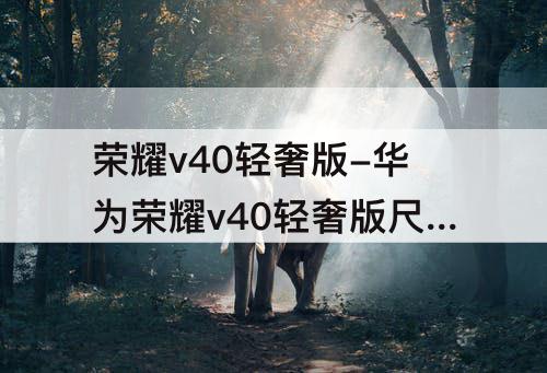 荣耀v40轻奢版-华为荣耀v40轻奢版尺寸