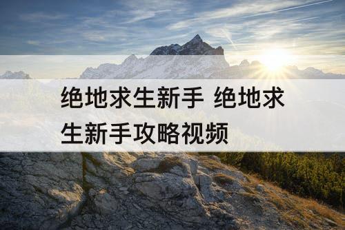 绝地求生新手 绝地求生新手攻略视频