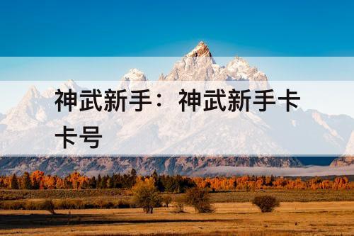 神武新手：神武新手卡卡号