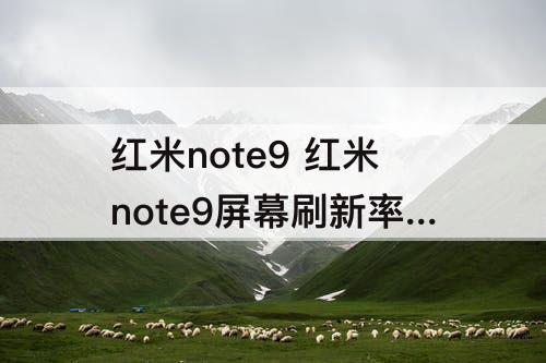 红米note9 红米note9屏幕刷新率怎么调整
