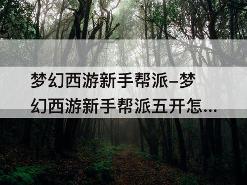 梦幻西游新手帮派-梦幻西游新手帮派五开怎么刷
