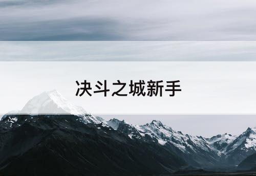 决斗之城新手