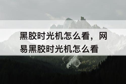 黑胶时光机怎么看，网易黑胶时光机怎么看