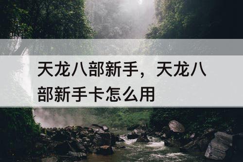 天龙八部新手，天龙八部新手卡怎么用