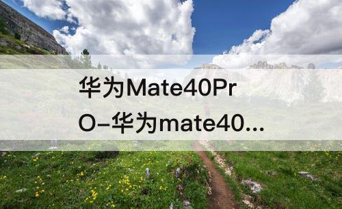 华为Mate40PrO-华为mate40pro怎么截屏的4种方法