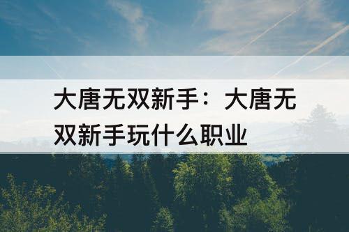 大唐无双新手：大唐无双新手玩什么职业