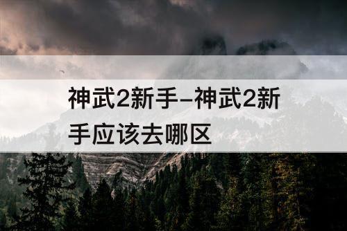 神武2新手-神武2新手应该去哪区