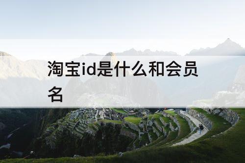 淘宝id是什么和会员名