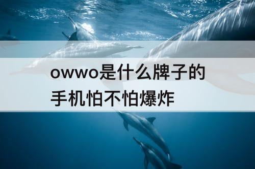 owwo是什么牌子的手机怕不怕爆炸