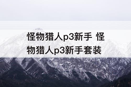 怪物猎人p3新手 怪物猎人p3新手套装