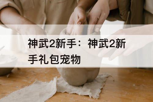 神武2新手：神武2新手礼包宠物