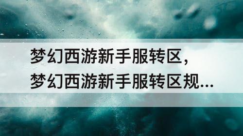 梦幻西游新手服转区，梦幻西游新手服转区规则