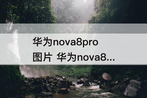 华为nova8pro图片 华为nova8pro图片有什么颜色