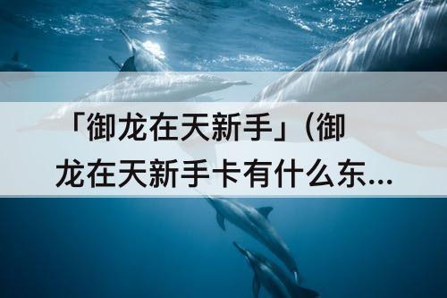 「御龙在天新手」(御龙在天新手卡有什么东西)