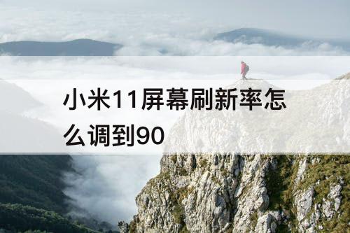 小米11屏幕刷新率怎么调到90