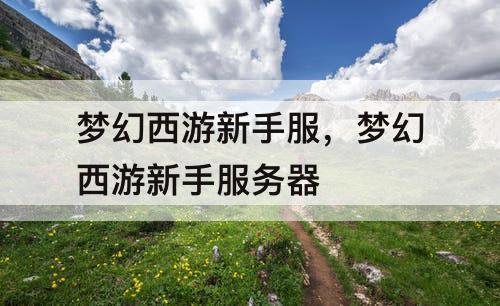 梦幻西游新手服，梦幻西游新手服务器