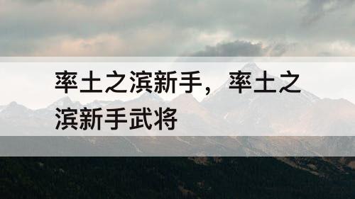 率土之滨新手，率土之滨新手武将