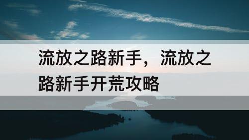 流放之路新手，流放之路新手开荒攻略