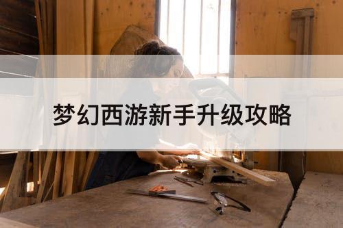 梦幻西游新手升级攻略