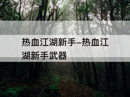 热血江湖新手-热血江湖新手武器