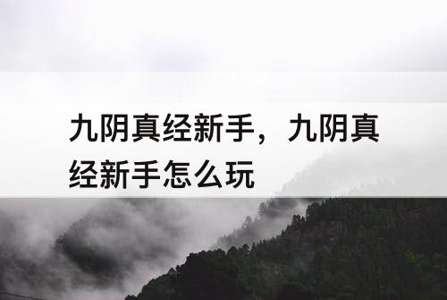 九阴真经新手，九阴真经新手怎么玩