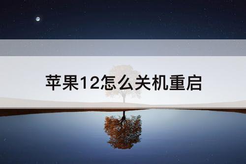 苹果12怎么关机重启