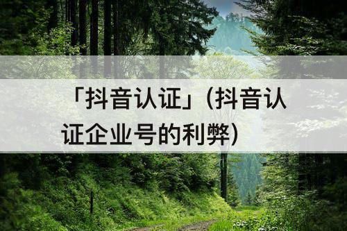 「抖音认证」(抖音认证企业号的利弊)