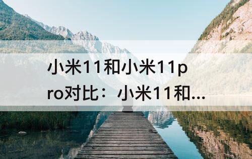小米11和小米11pro对比：小米11和小米11pro对比拍照