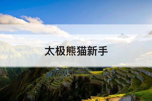 太极熊猫新手