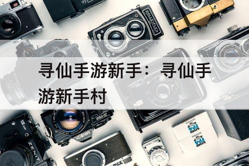 寻仙手游新手：寻仙手游新手村