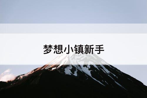 梦想小镇新手