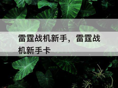 雷霆战机新手，雷霆战机新手卡