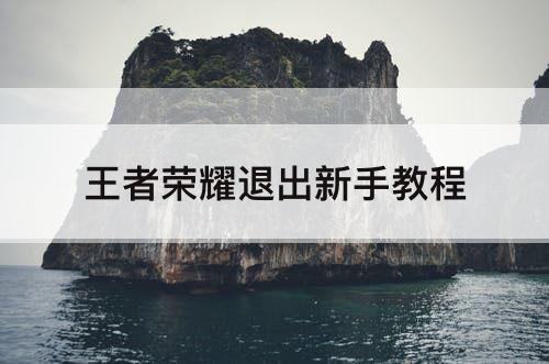 王者荣耀退出新手教程