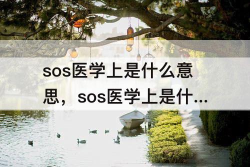 sos医学上是什么意思，sos医学上是什么意思甲强龙