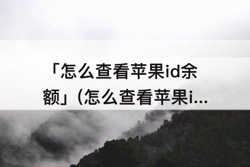 「怎么查看苹果id余额」(怎么查看苹果id余额明细)