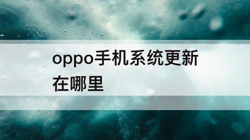 oppo手机系统更新在哪里