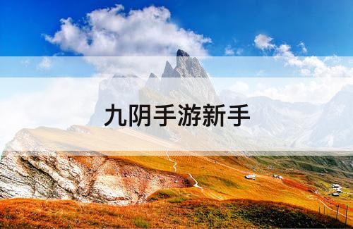 九阴手游新手