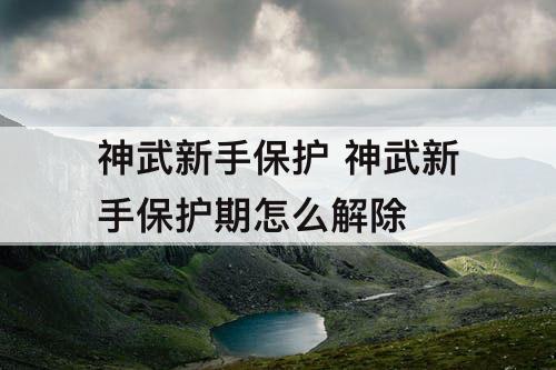 神武新手保护 神武新手保护期怎么解除