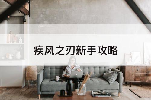 疾风之刃新手攻略
