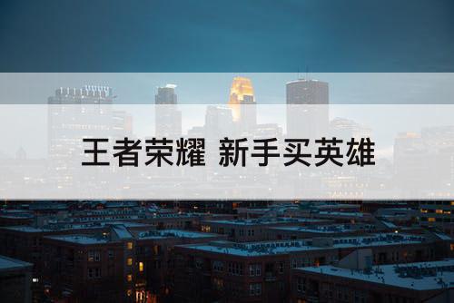 王者荣耀 新手买英雄