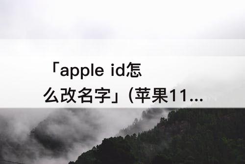 「apple id怎么改名字」(苹果11apple id怎么改名字)