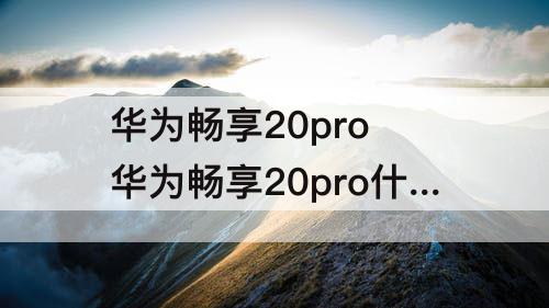 华为畅享20pro 华为畅享20pro什么时候上市的