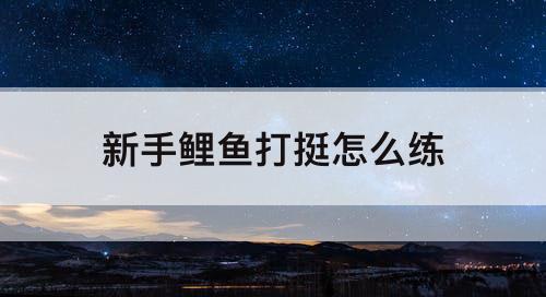 新手鲤鱼打挺怎么练