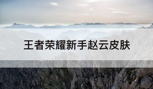 王者荣耀新手赵云皮肤