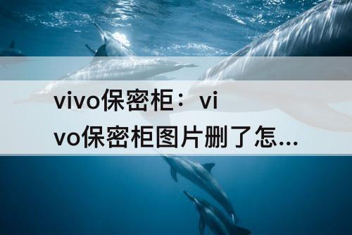 vivo保密柜：vivo保密柜图片删了怎么办