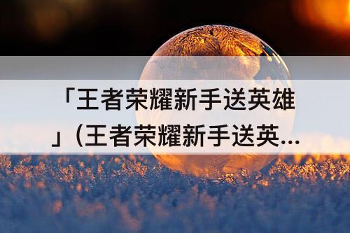 「王者荣耀新手送英雄」(王者荣耀新手送英雄吗)