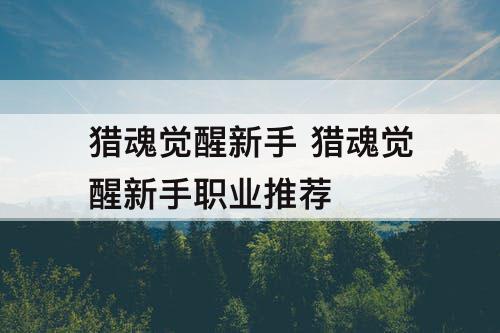 猎魂觉醒新手 猎魂觉醒新手职业推荐
