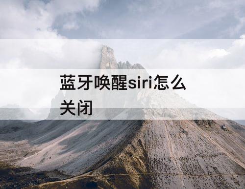 蓝牙唤醒siri怎么关闭